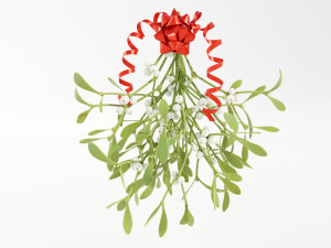 Mistletoe Bunch 3D Model