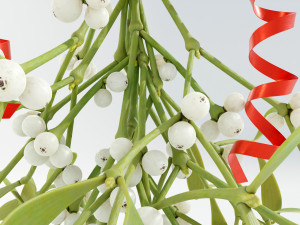 Mistletoe Bunch 3D Model