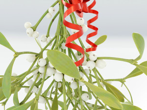 Mistletoe Bunch 3D Model