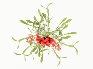 Mistletoe Bunch 3D Model