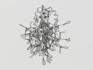 Mistletoe Bunch 3D Model