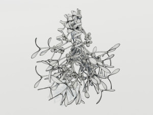 Mistletoe Bunch 3D Model