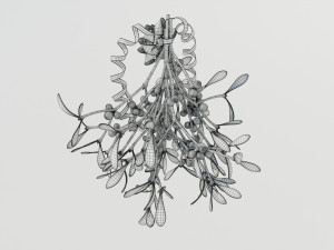 Mistletoe Bunch 3D Model