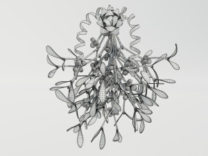 Mistletoe Bunch 3D Model