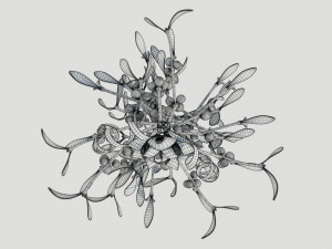 Mistletoe Bunch 3D Model