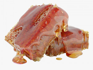 Honeycomb Pieces 3D Model