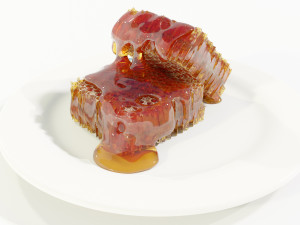 Honeycomb Pieces 3Dモデル