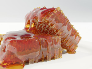 Honeycomb Pieces 3Dモデル