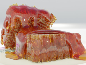 Honeycomb Pieces 3Dモデル