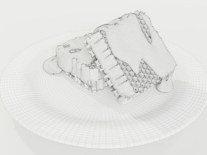 Honeycomb Pieces 3Dモデル