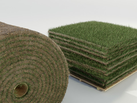 Grass Sod Stack and Roll 3D Модель