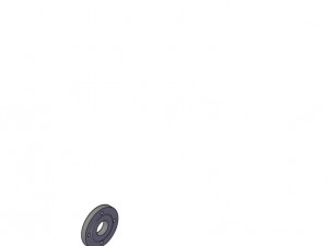 Flange Dn 50 Pn 16 ata 3D 모델