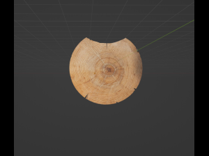 Log 3D Model