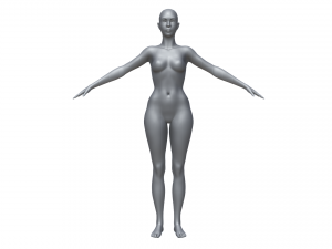 Base mesh female 3D Model