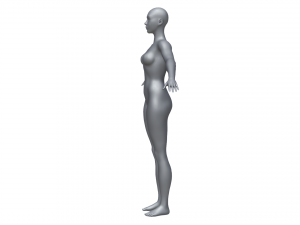 Base mesh female 3D Model
