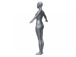 Base mesh female 3D Model
