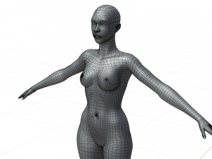 Base mesh female 3D Model