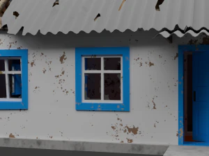 Old Village House Destroyed 3D Model