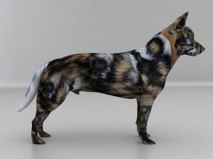 Dog Modelo 3D
