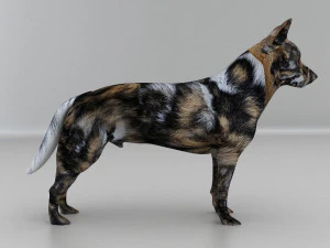 Dog 3D Model