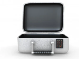 Security Case Nickel Plated 3D Model