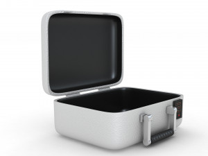 Security Case Nickel Plated Modèle 3D