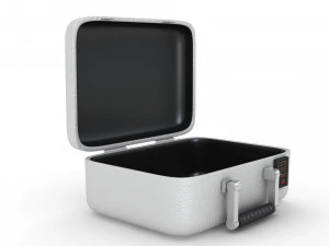 Security Case Nickel Plated 3D Model
