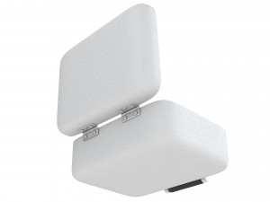Security Case Nickel Plated Modèle 3D