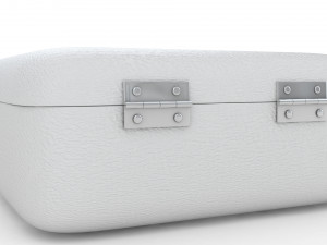 Security Case Nickel Plated Modèle 3D