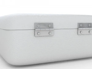 Security Case Nickel Plated 3D Model