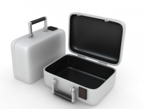 Security Case Nickel Plated Modèle 3D