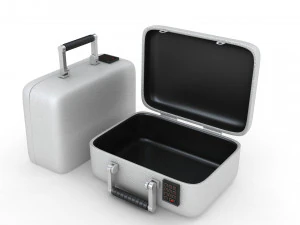 Security Case Nickel Plated 3D Model