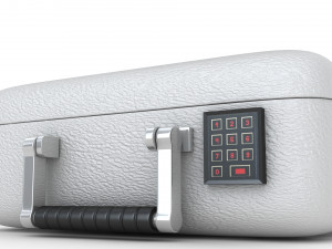 Security Case Nickel Plated Modèle 3D