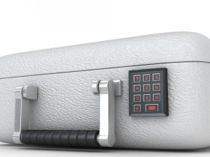 Security Case Nickel Plated 3D Model
