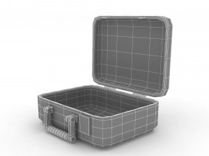 Security Case Nickel Plated Modèle 3D