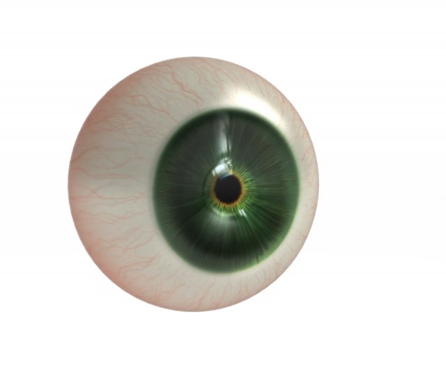 Eye ball Model 3D .c4d .max .obj .3ds .fbx .stl .blend 