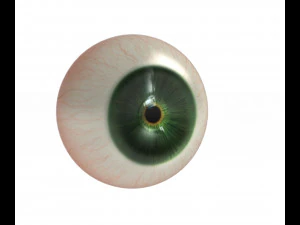 Globo ocular Modelo 3D