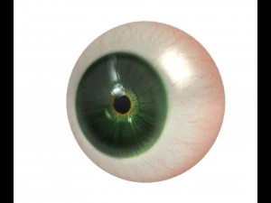 Eye ball 3D Model
