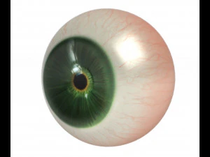 Eye ball 3D Model