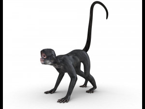 Monkey 3D Model