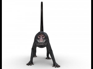 Monkey 3D-Modell