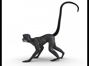 Monkey 3D-Modell