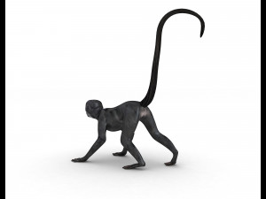 Monkey 3D-Modell