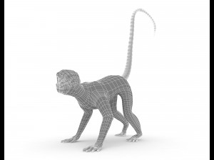Monkey 3D-Modell