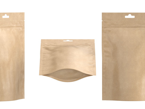 Paper pouch v5 PBR 3D Model