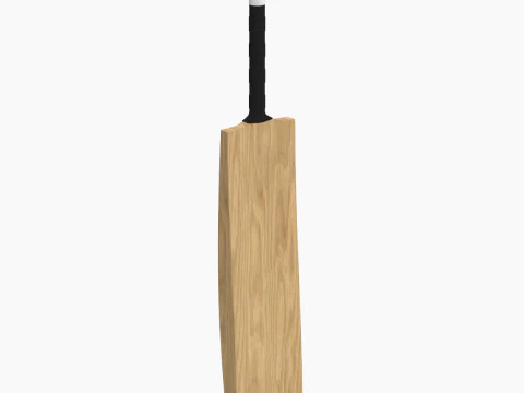 Cricket Bat 3D Model