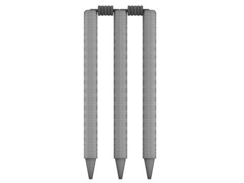 Cricket Wicket 3D Model