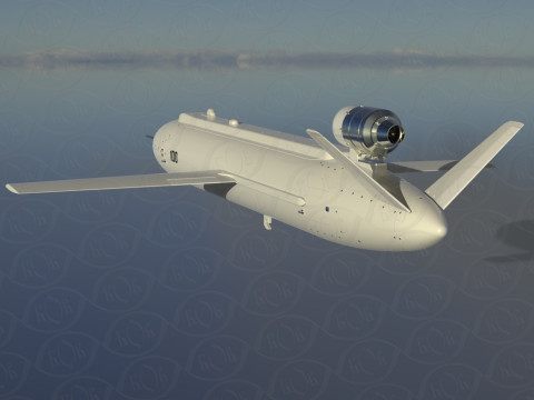 Ukrainian cruise missile drone PEKLO Detailed engineering Modello 3D