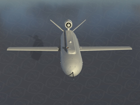 Ukrainian cruise missile drone PEKLO Detailed engineering Modello 3D