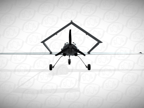 Ukrainian UAV AN196 LUTYI deep strike air drone 3D Model